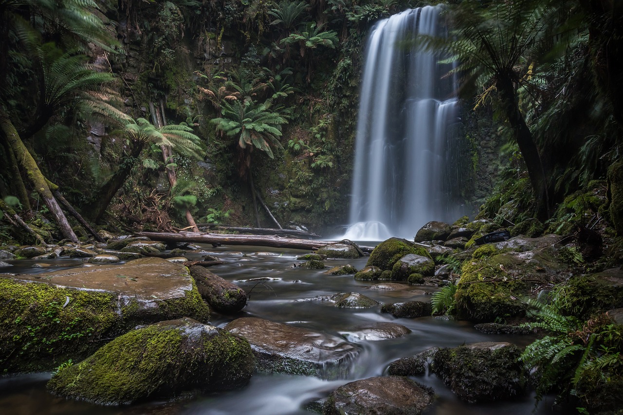 waterfall water forest free photo