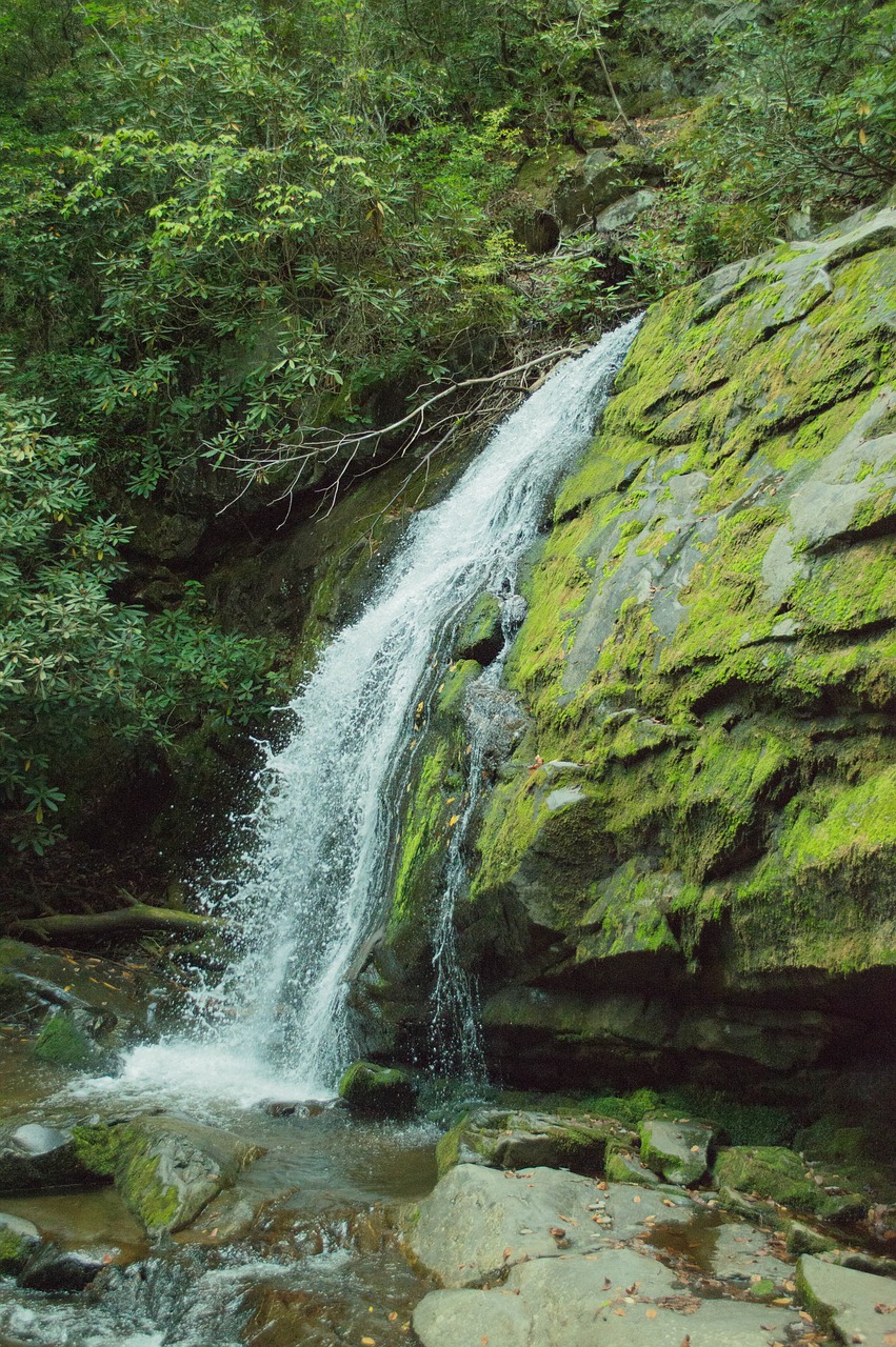 waterfall water nature free photo