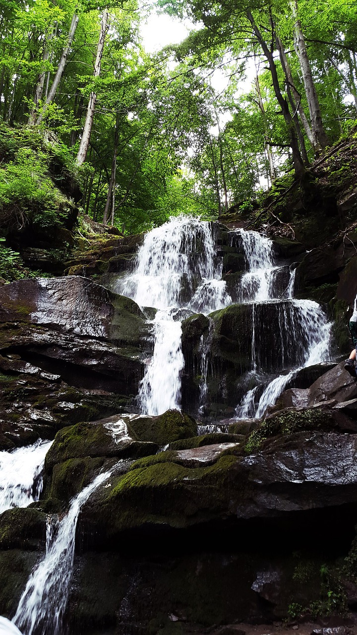 waterfall shipot the carpathians free photo