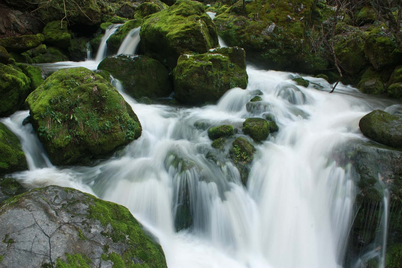 waterfall milk watter moss free photo