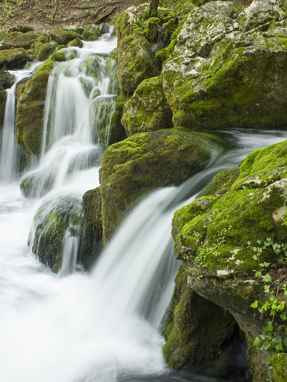 waterfall water fall free photo