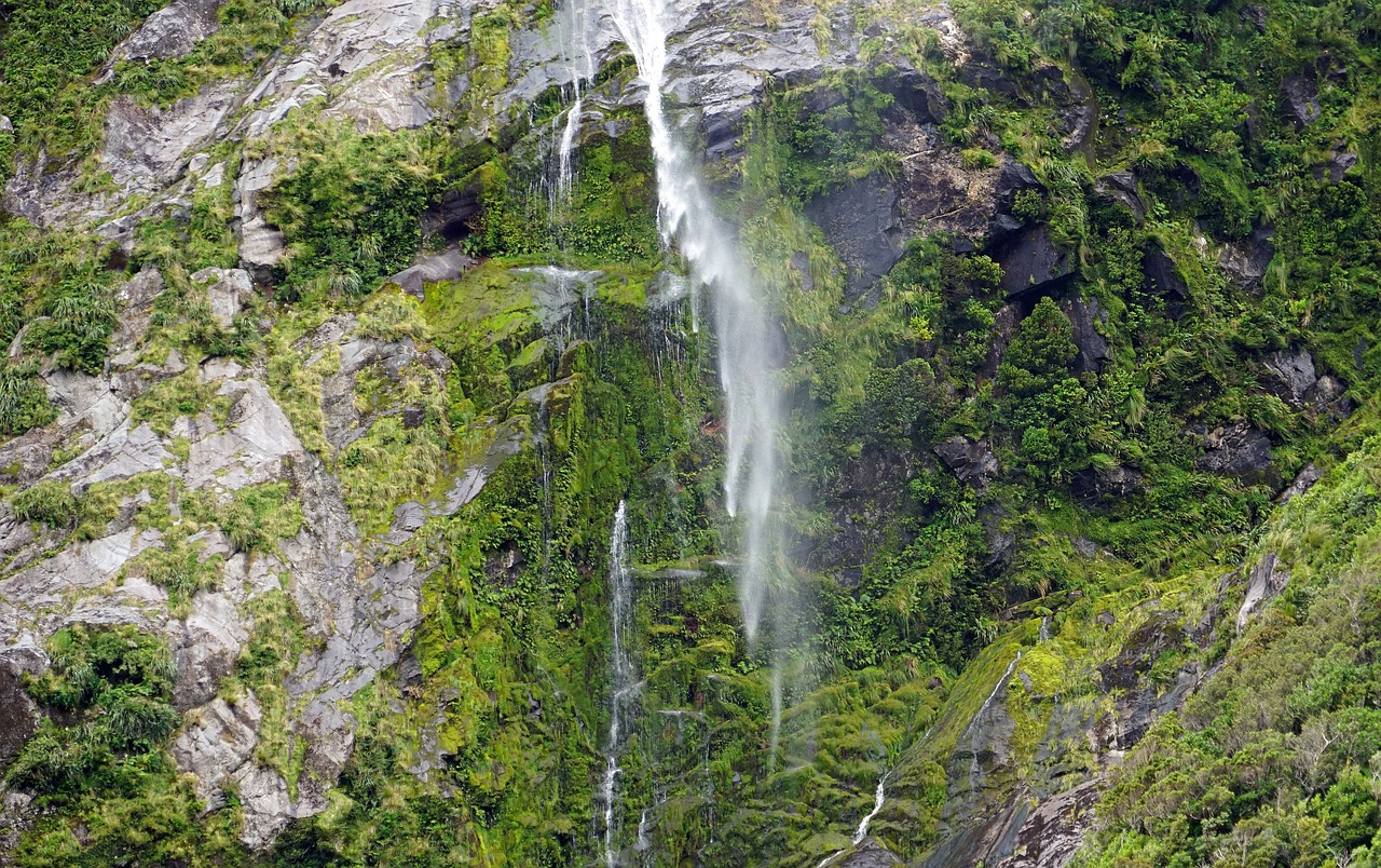 waterfall milford sound new zealand free photo