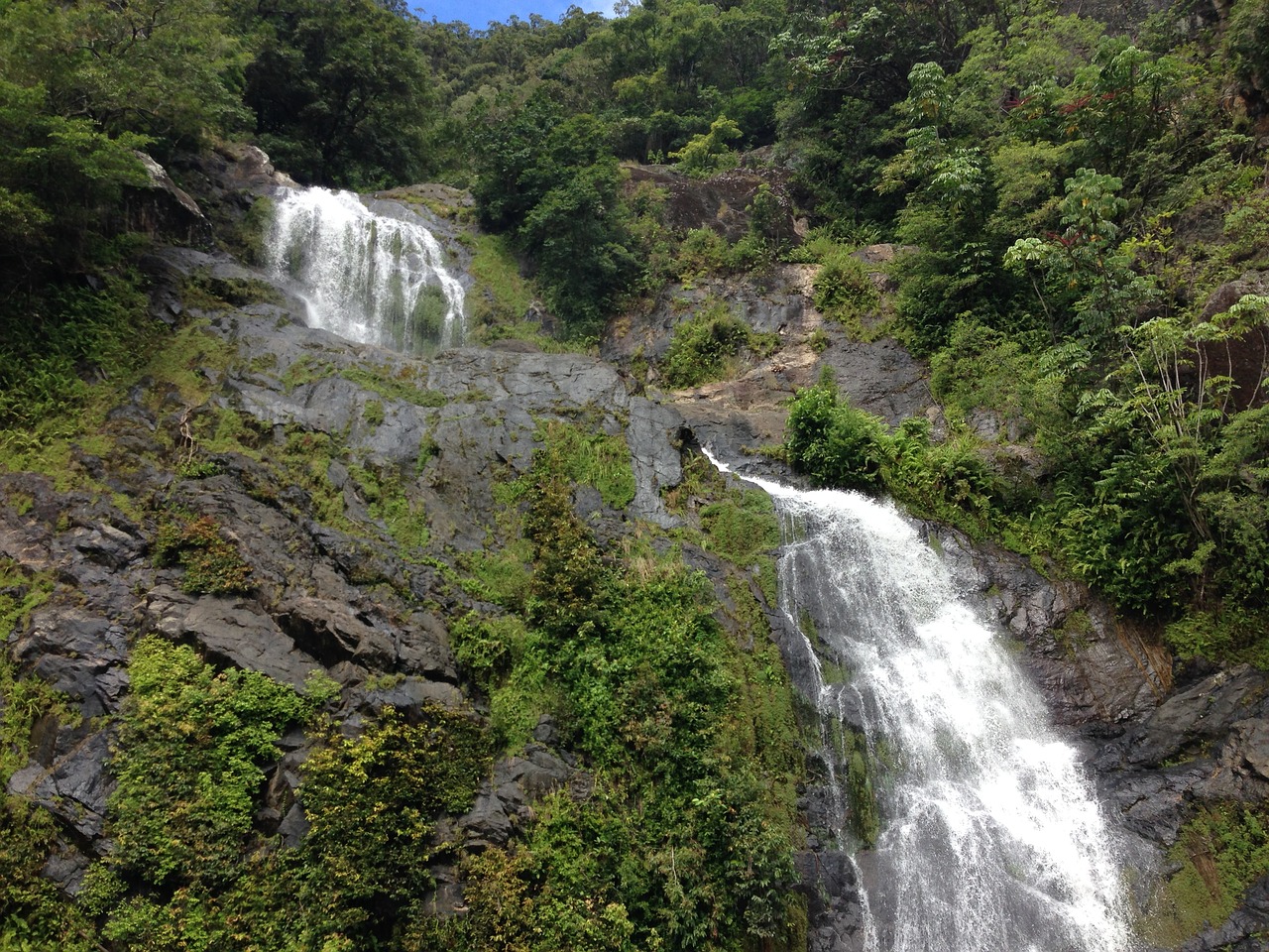 waterfall cairns rainforest waterfalls free photo
