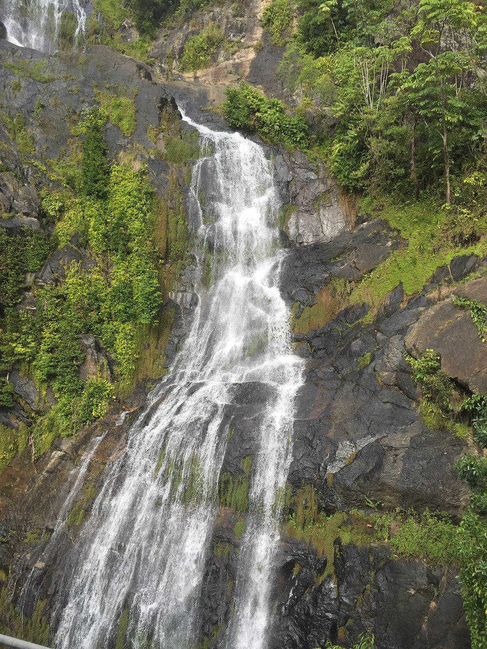 waterfall green nature free photo