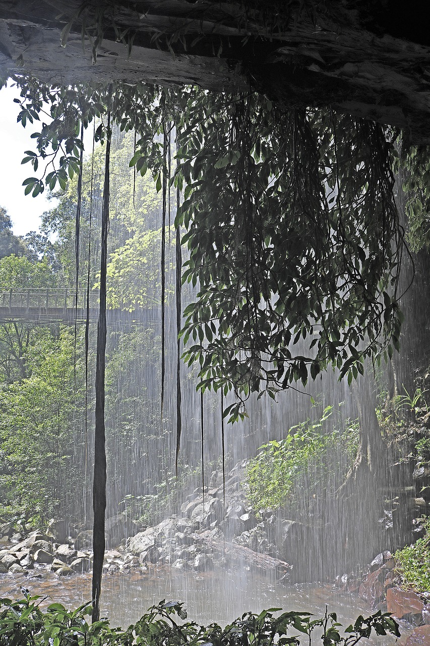 waterfall trees scenic free photo