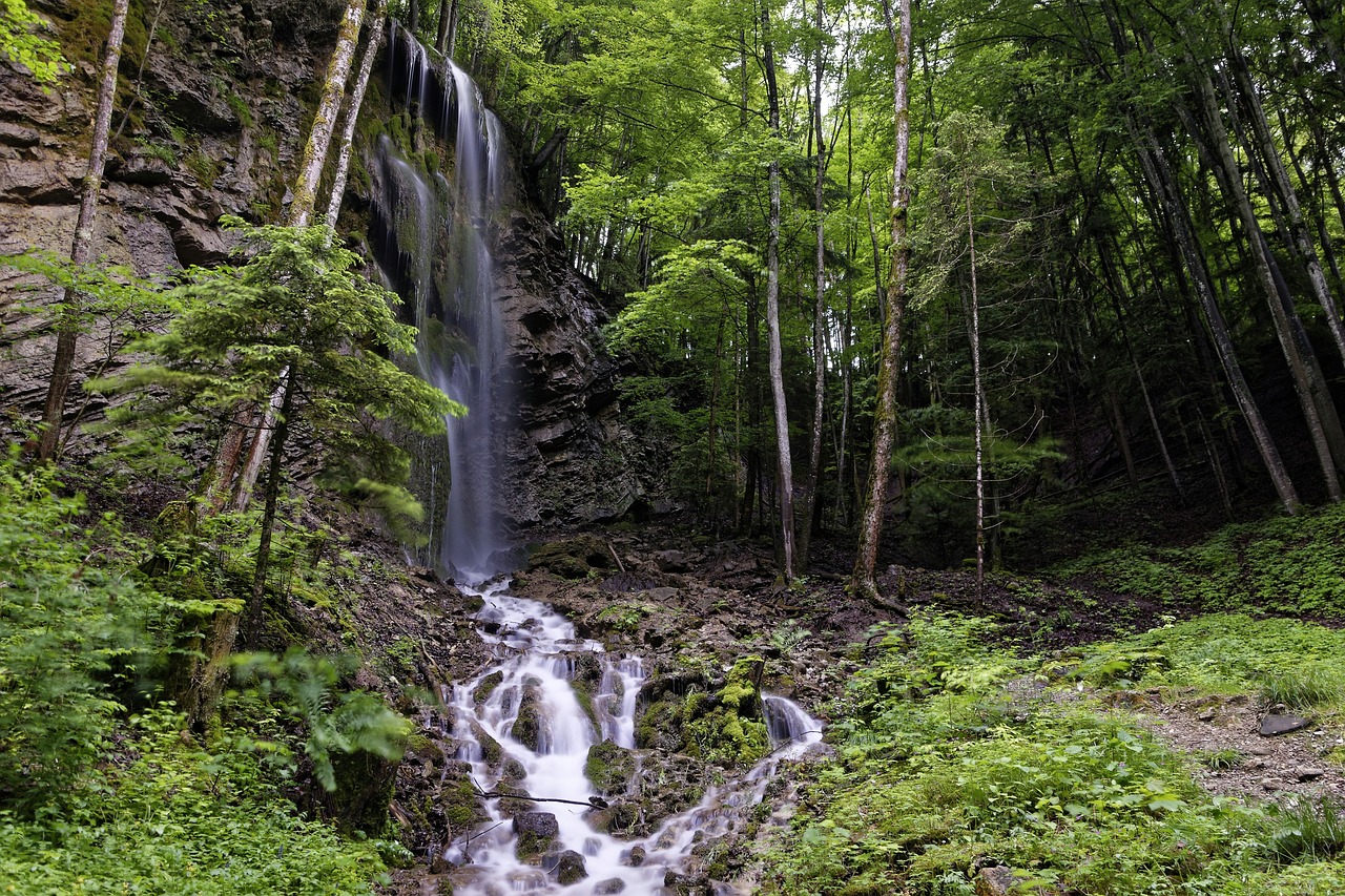 waterfall nature forest free photo