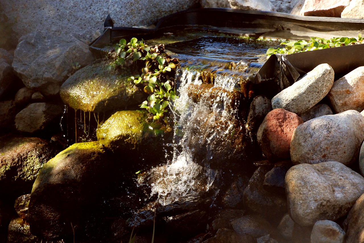 waterfall nature garden free photo