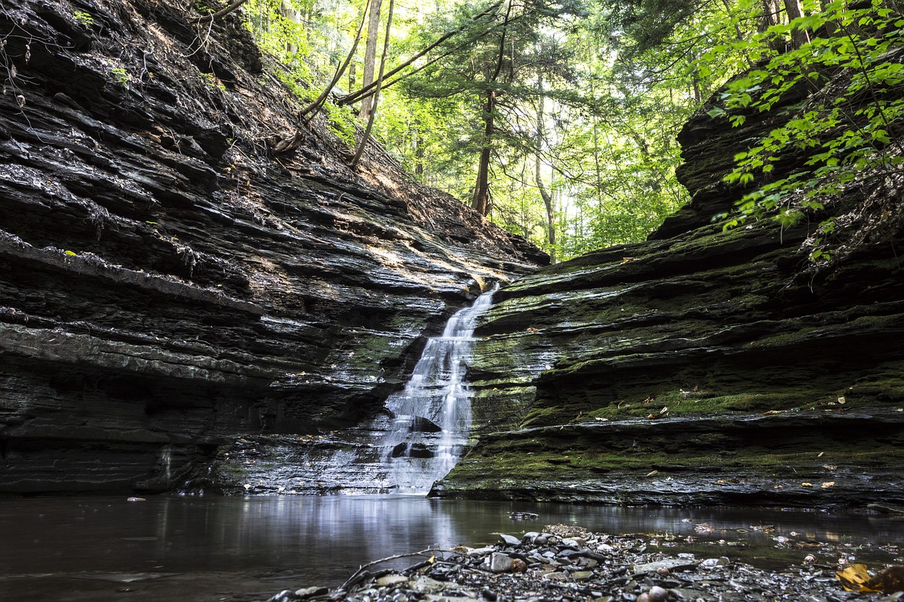 waterfall pond forest free photo