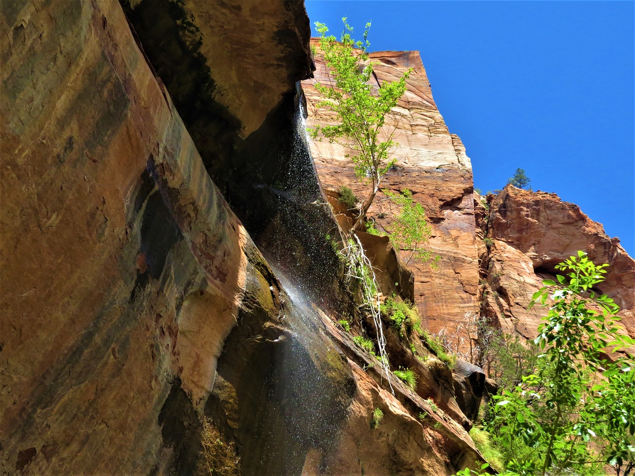 waterfall hiking utah free photo