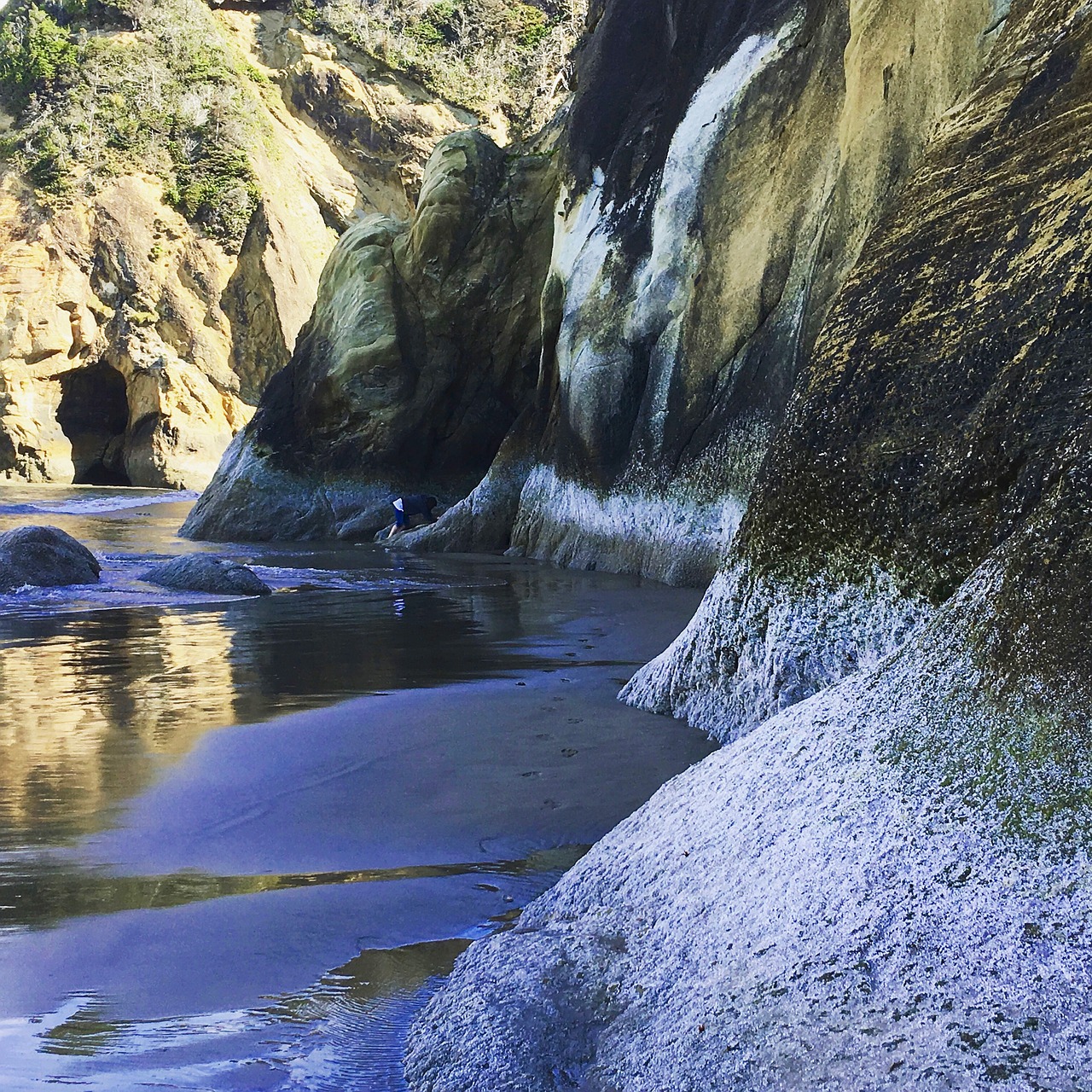 waterfall oregon coast travel free photo