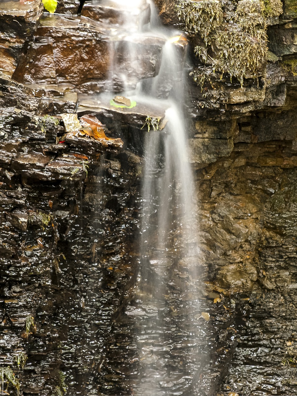 waterfall nature landscape free photo