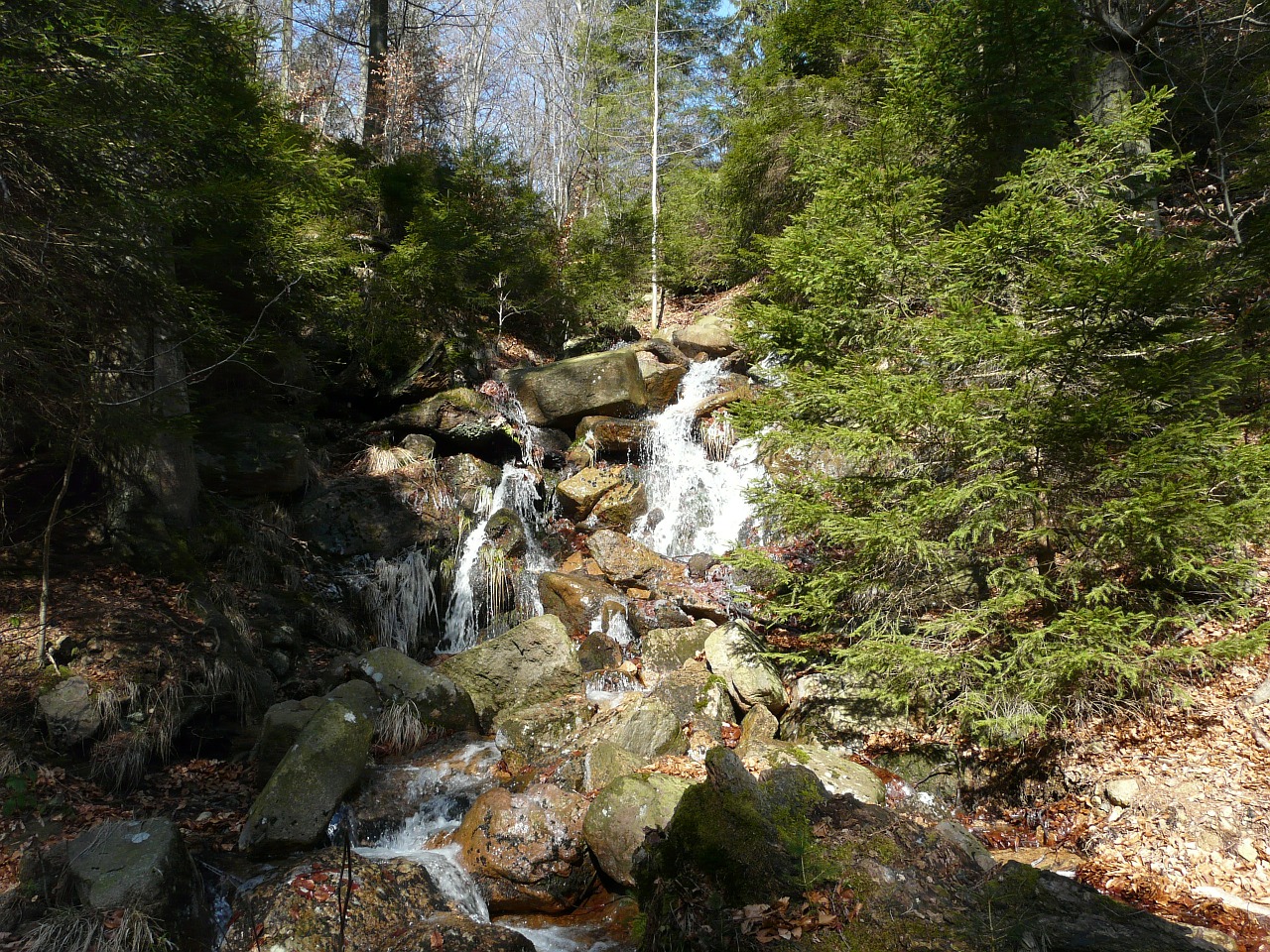 waterfall mountain forest free photo