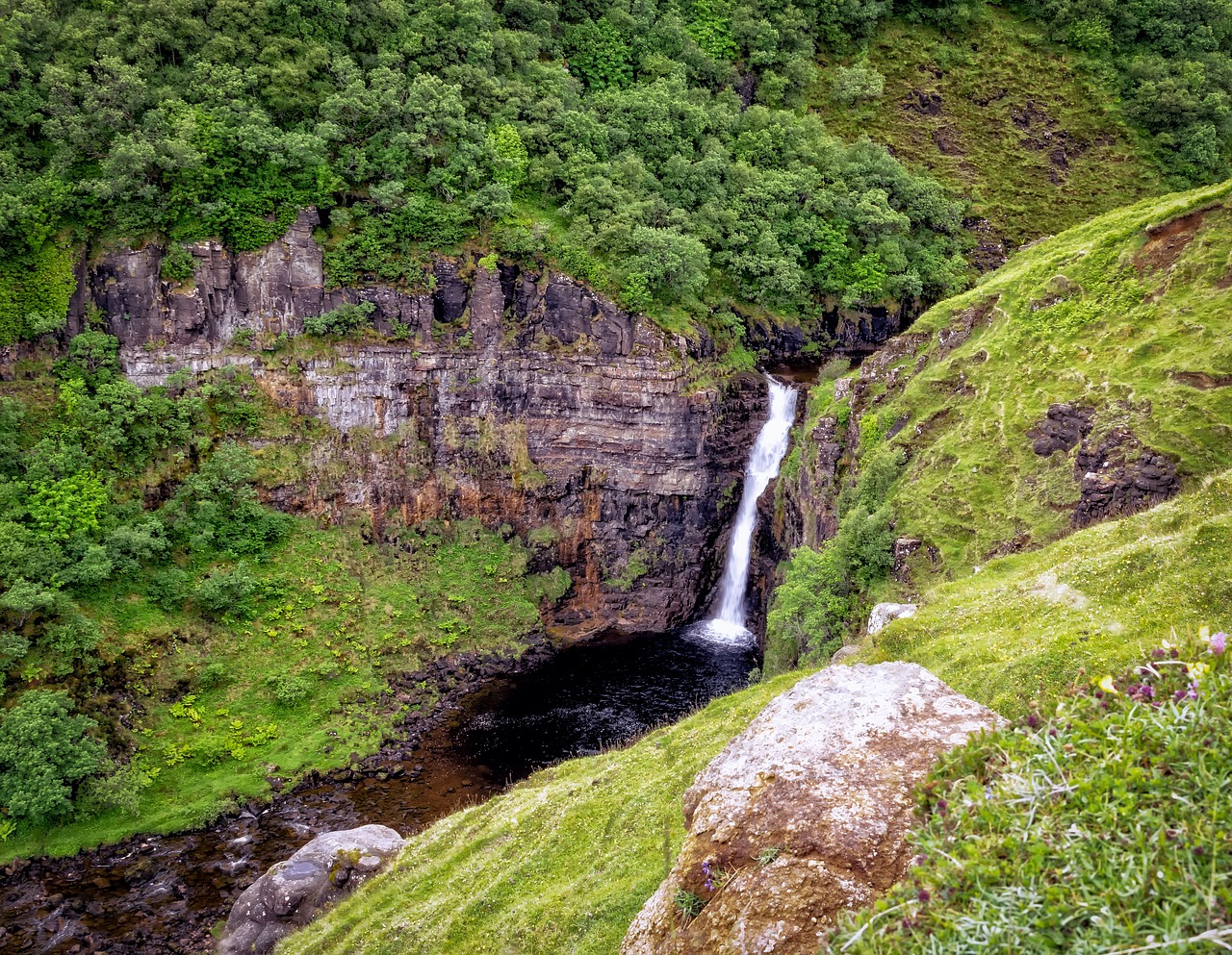 waterfall murmur water free photo