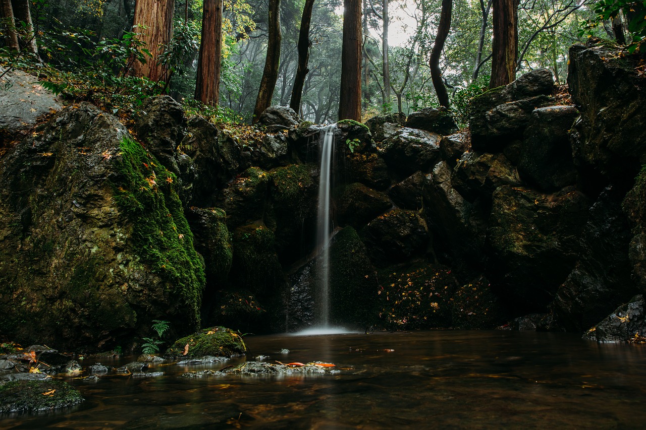 waterfall forest calm free photo