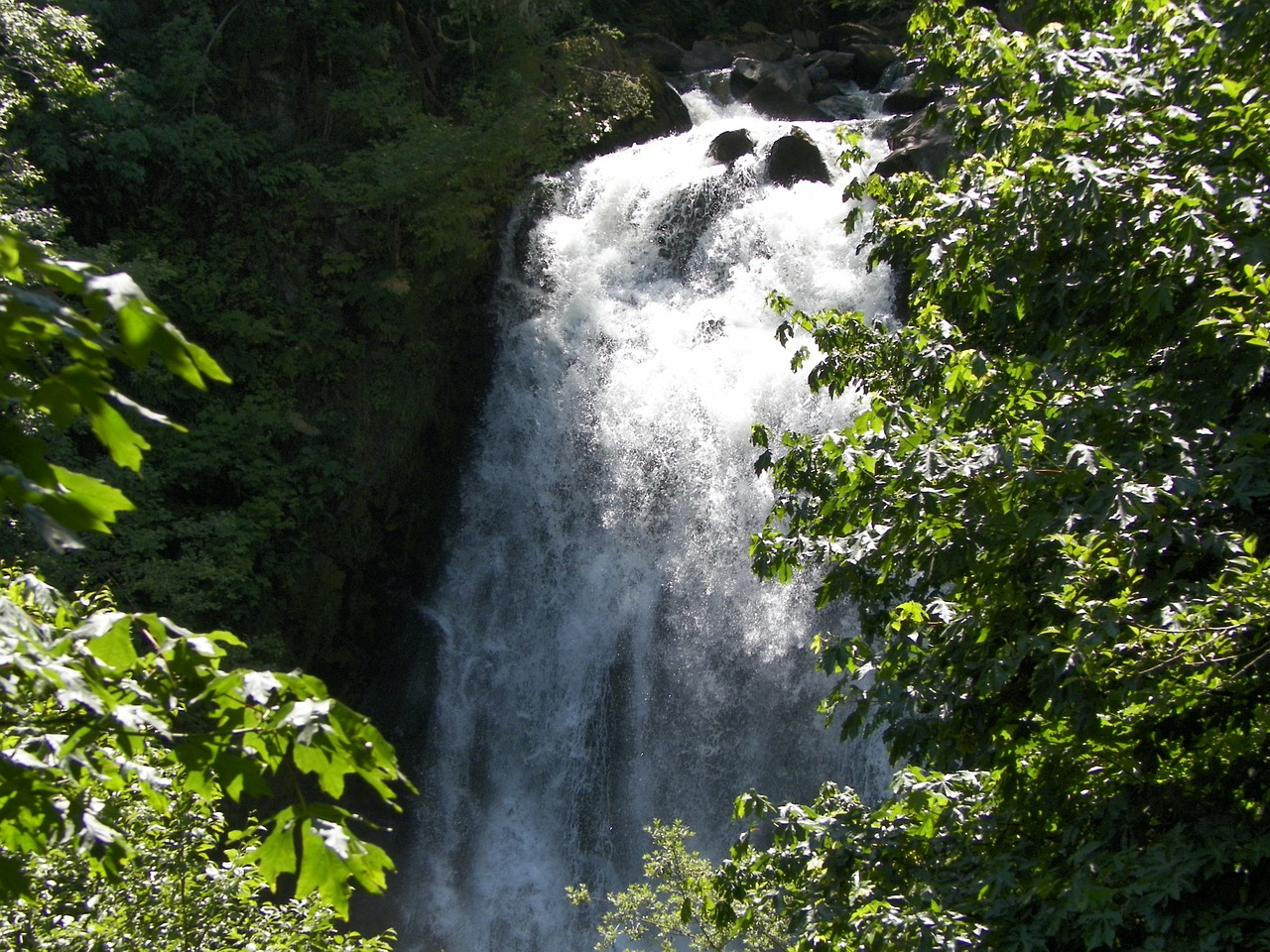 waterfall green river free photo