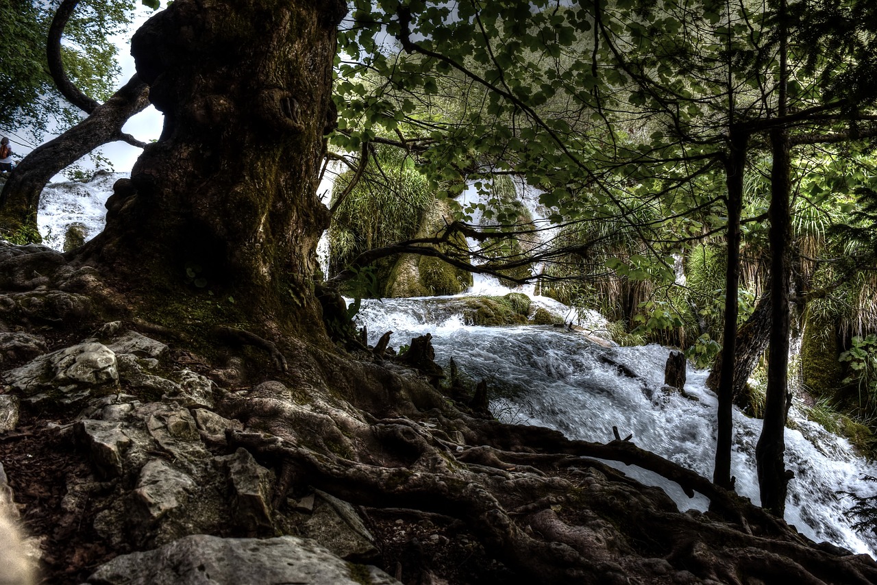 waterfall nature natural water free photo