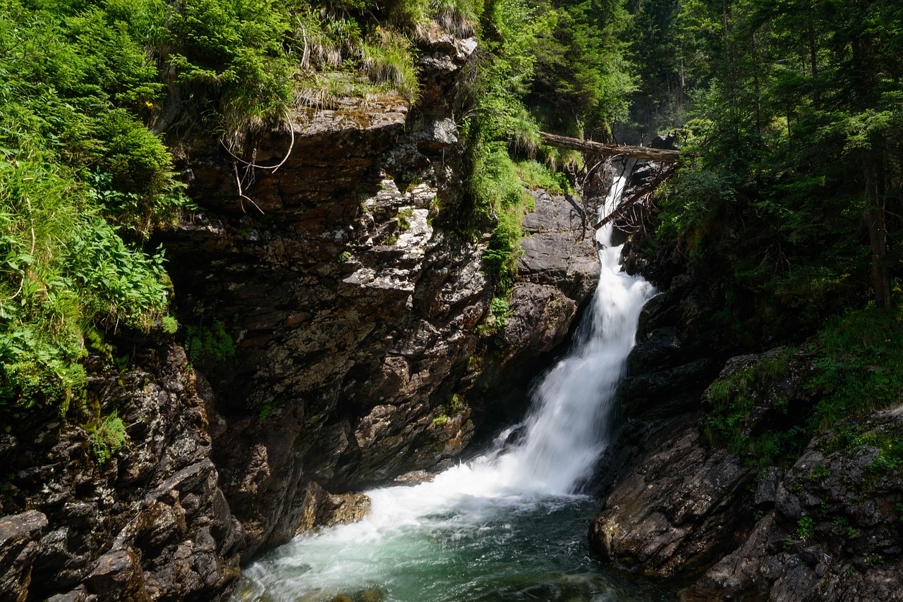 waterfall torrent alpine free photo