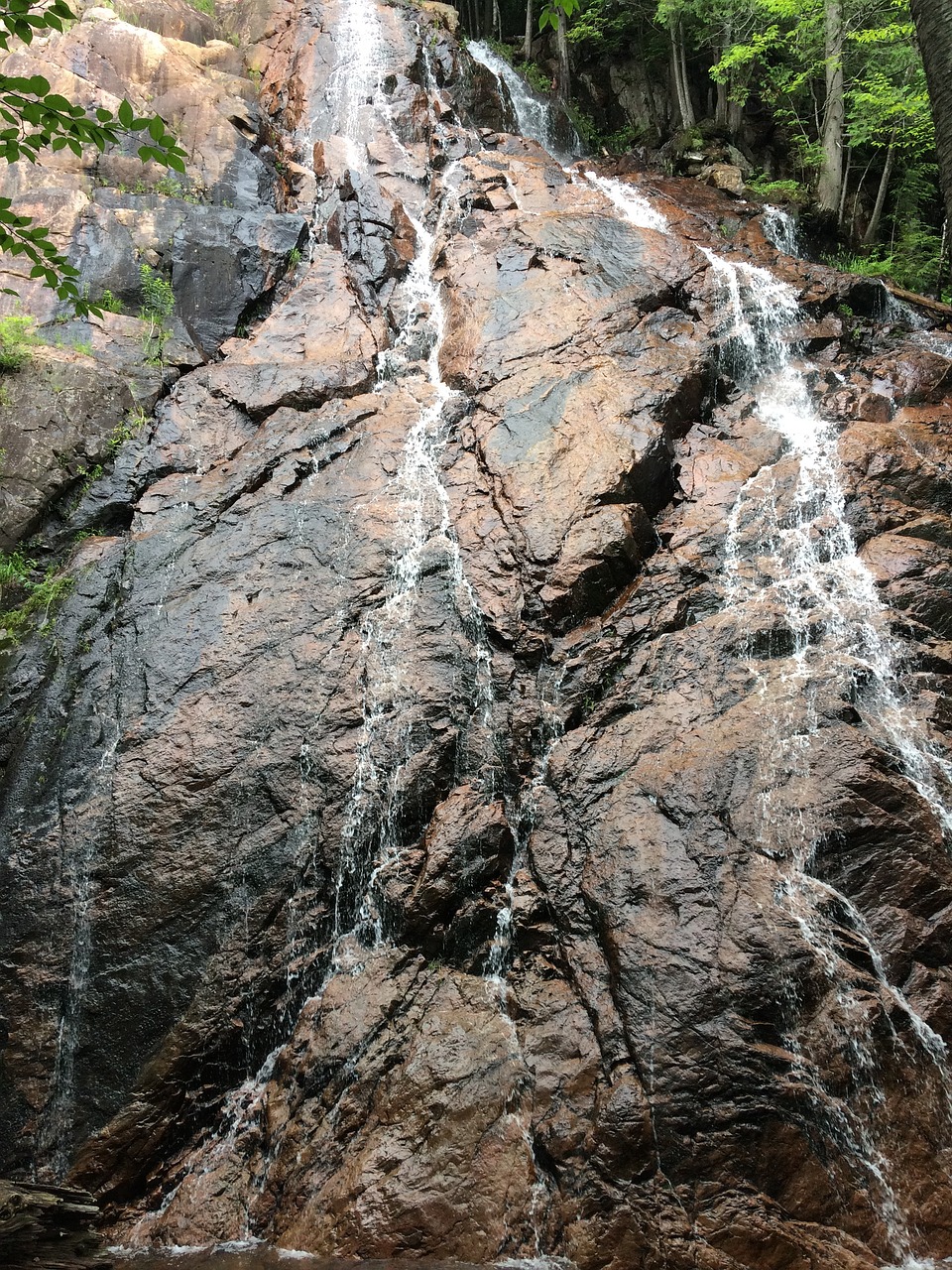 waterfall rock water free photo