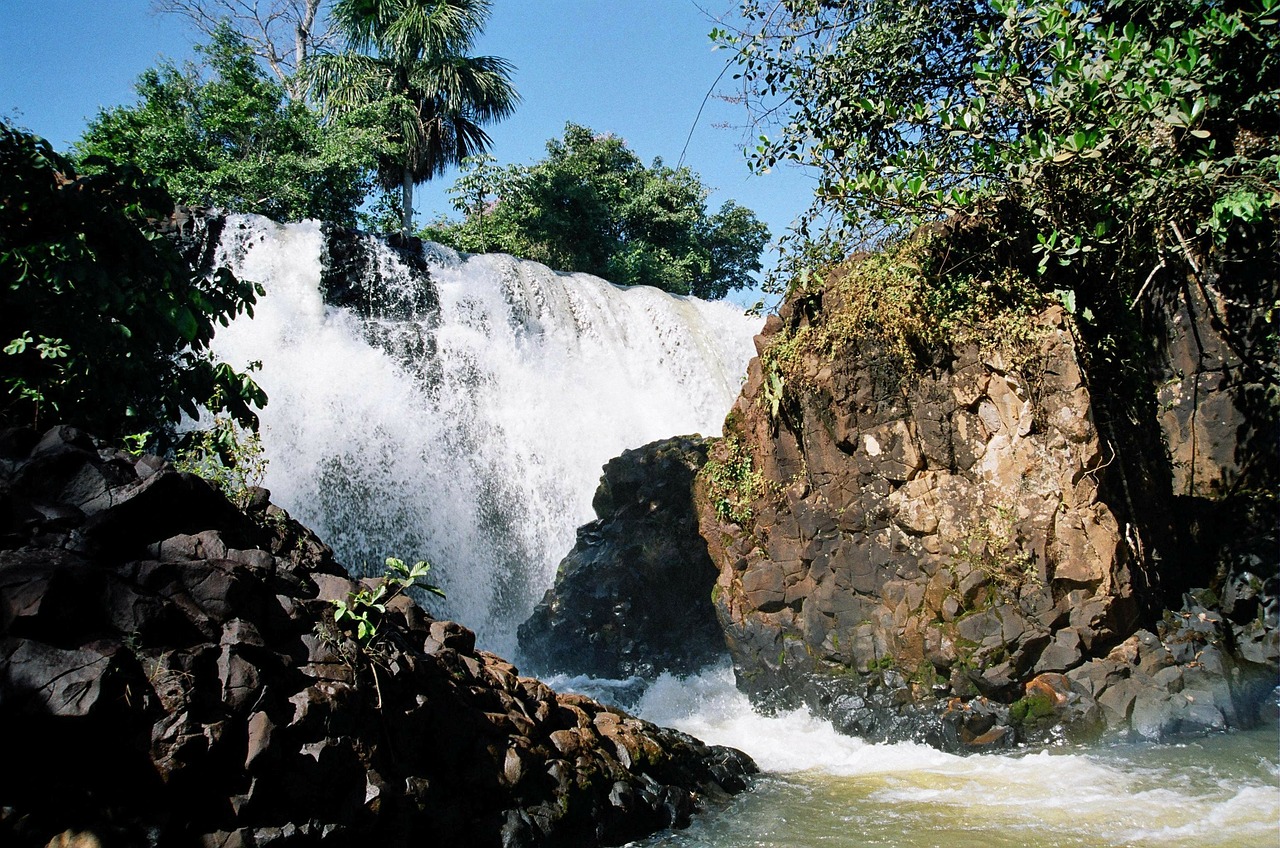 waterfall coconut trees tangará da serra free photo