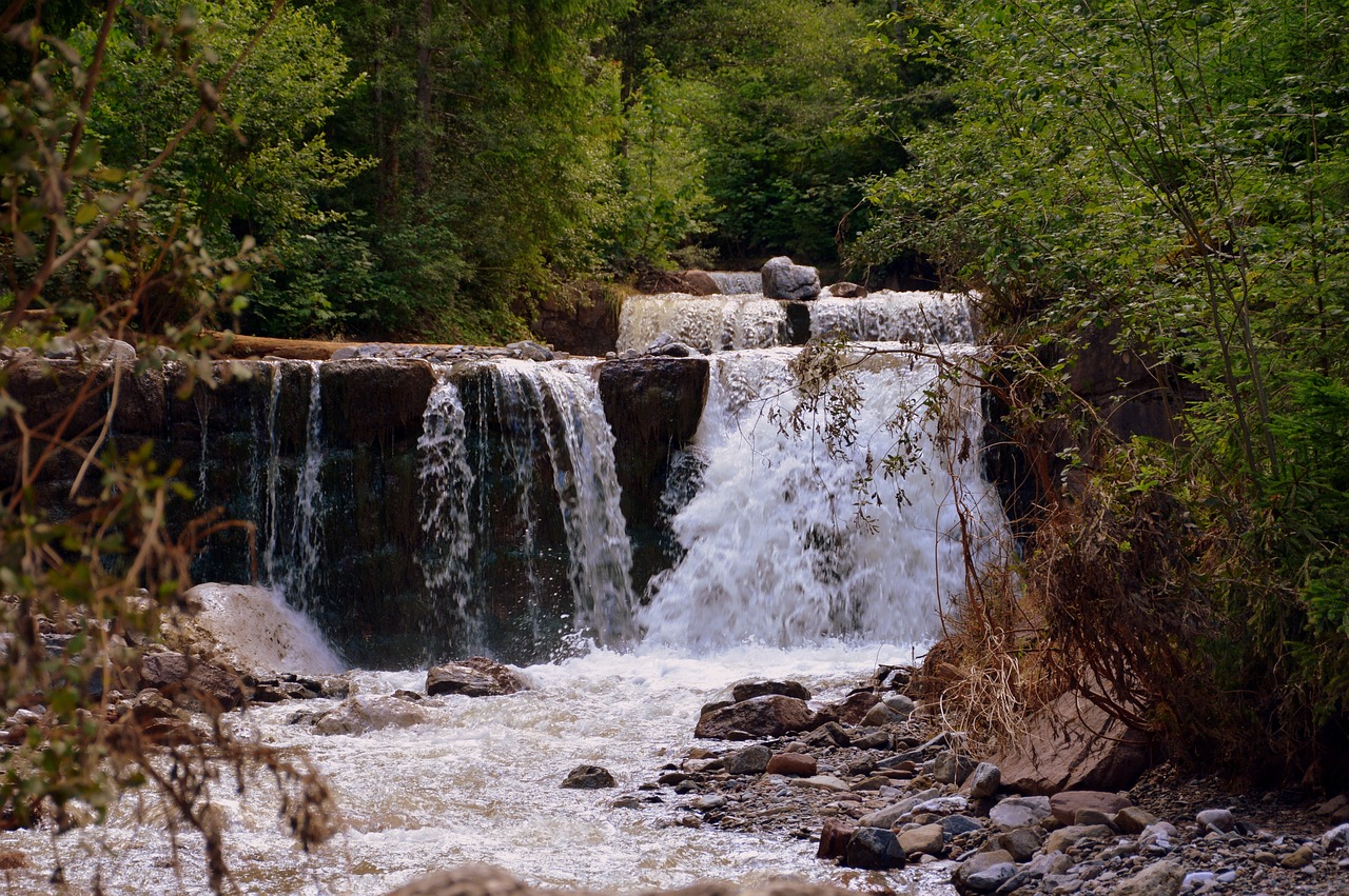 waterfall water forest free photo