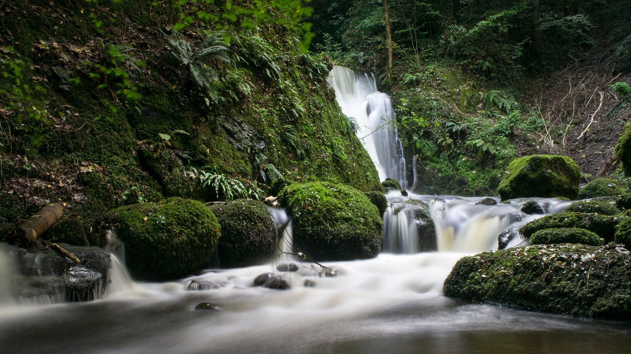 waterfall stream water free photo