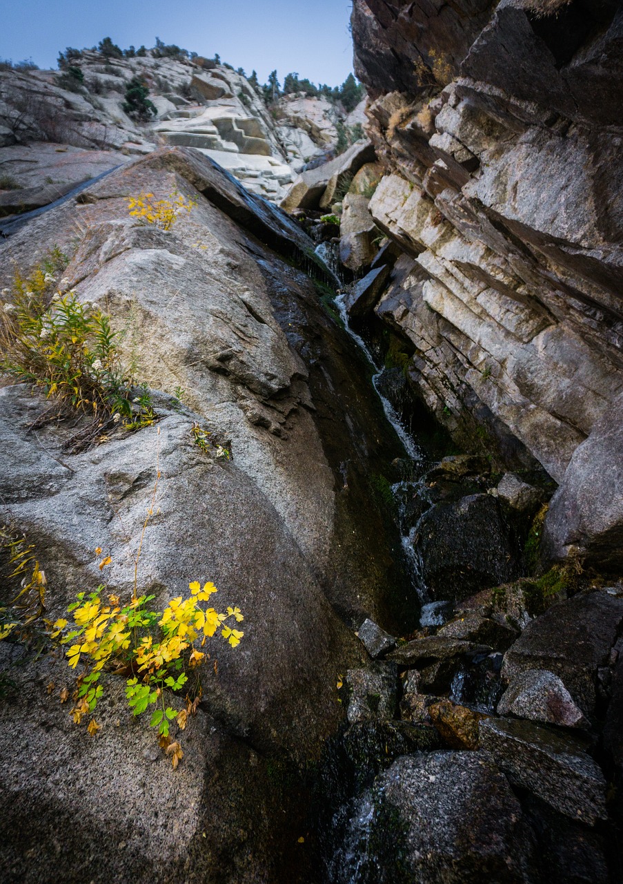 waterfall hill plant free photo