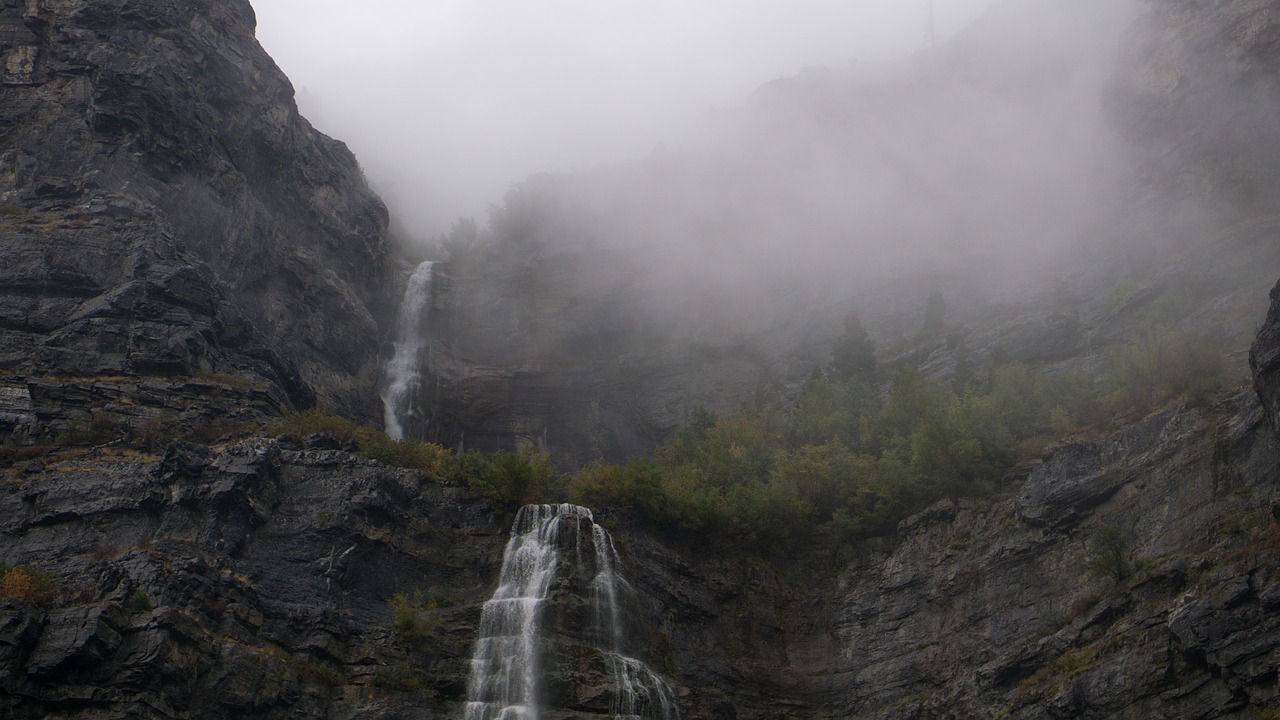 waterfall green tree free photo