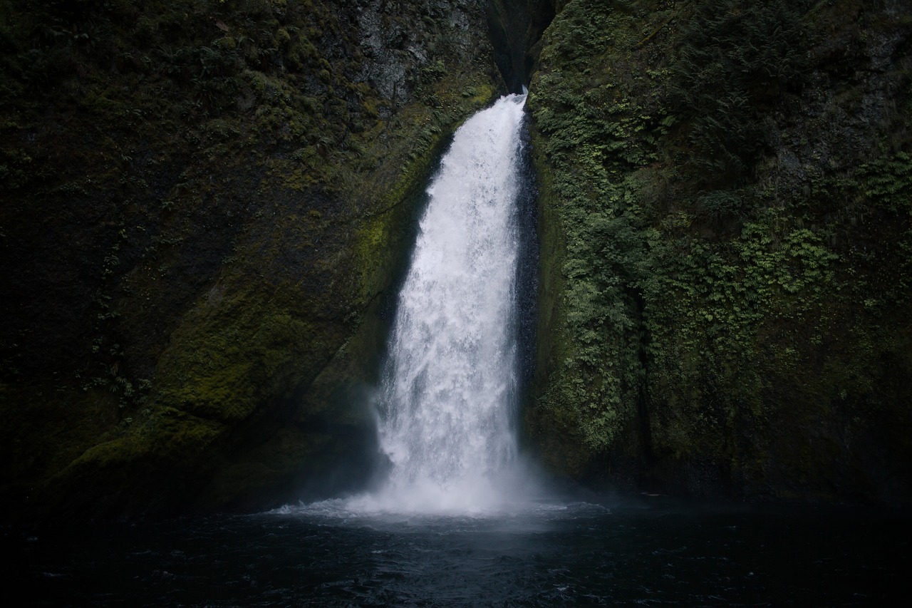 waterfall green moss free photo