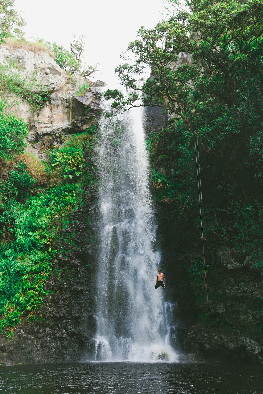 waterfall green grass free photo