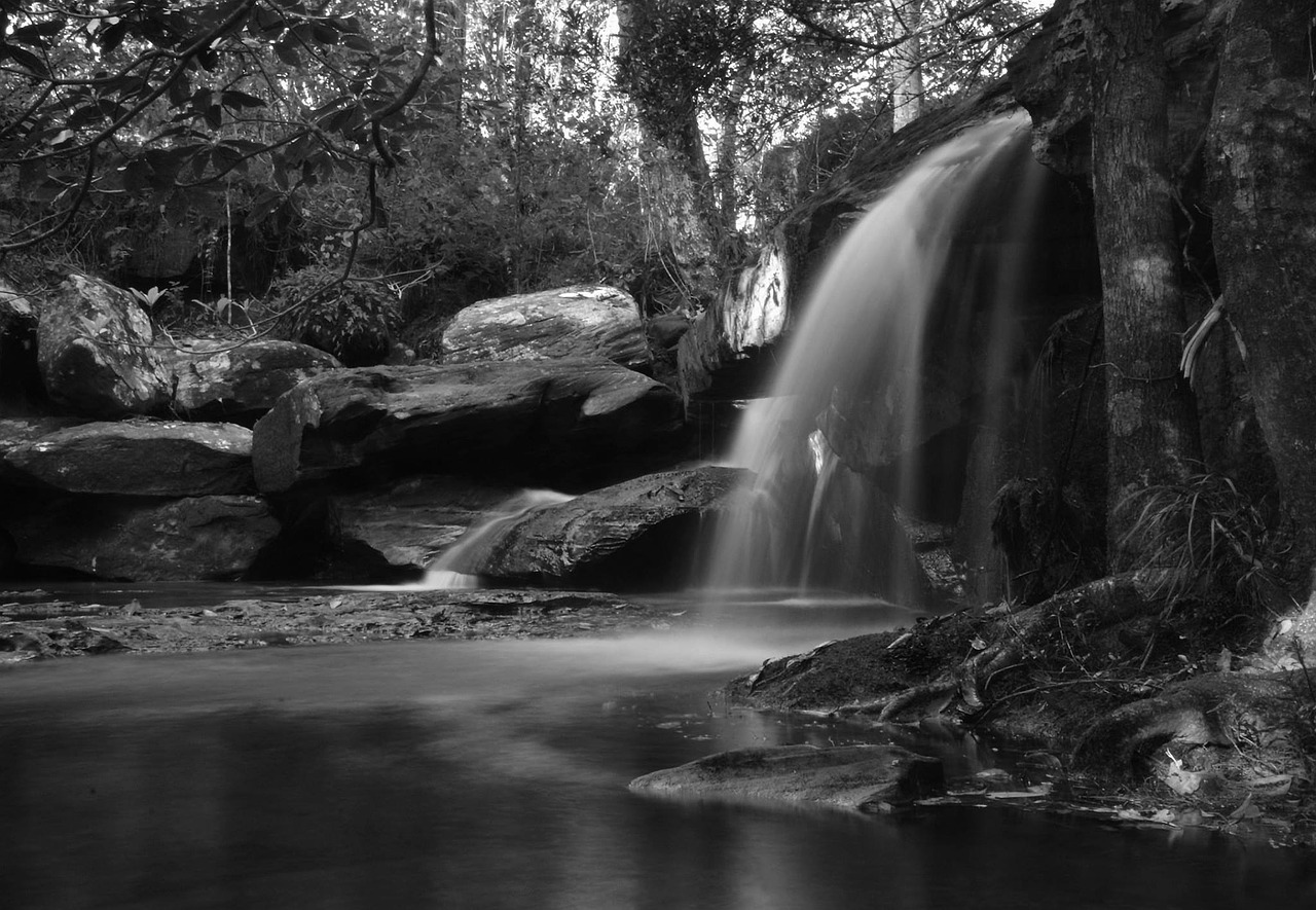 waterfall mountain tree free photo