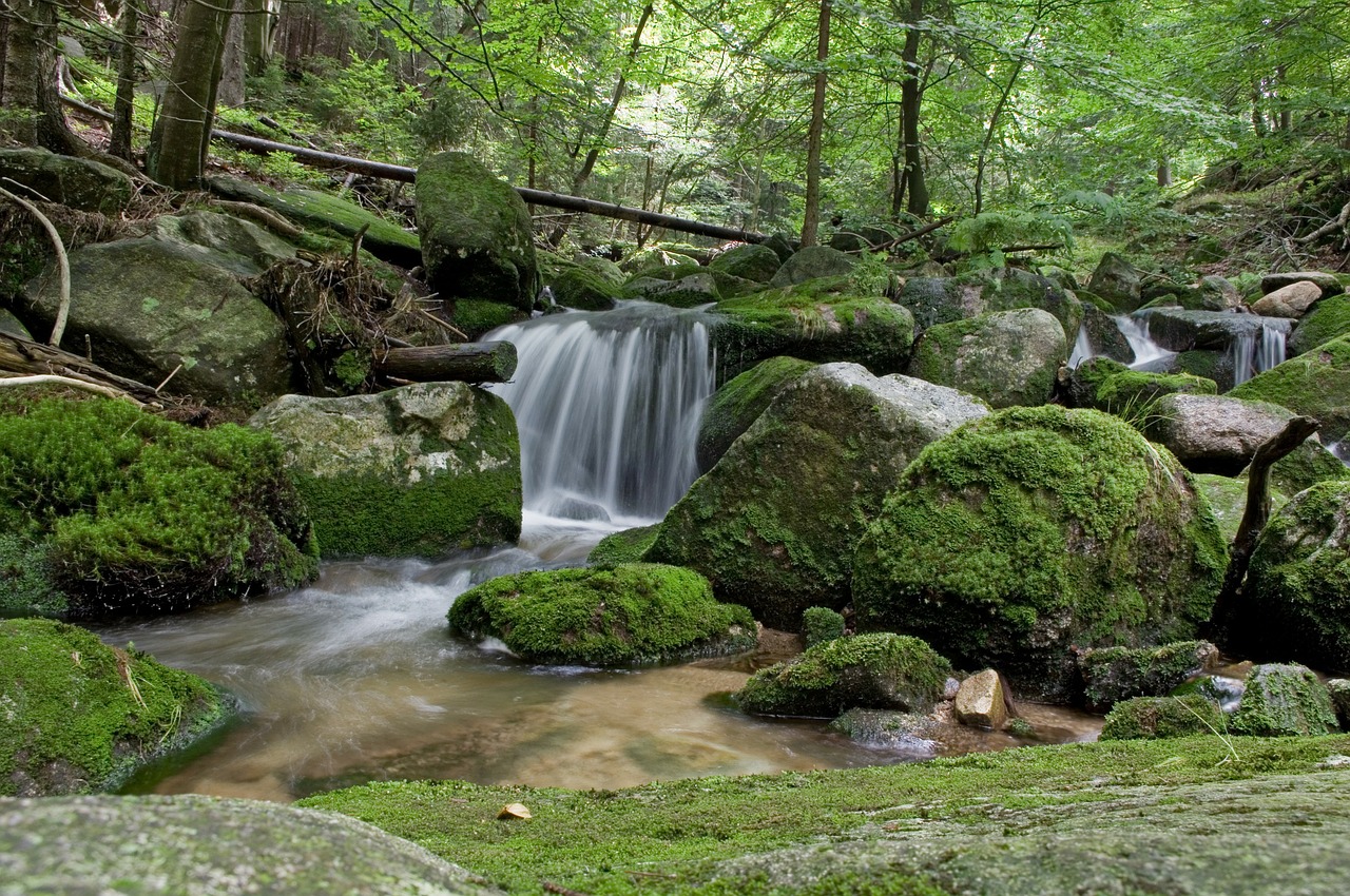 waterfall water green free photo