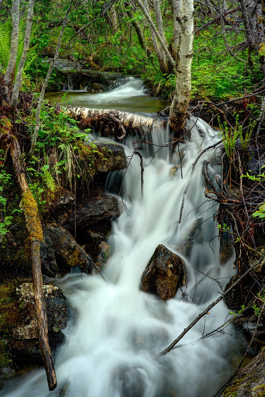 waterfall river stream free photo