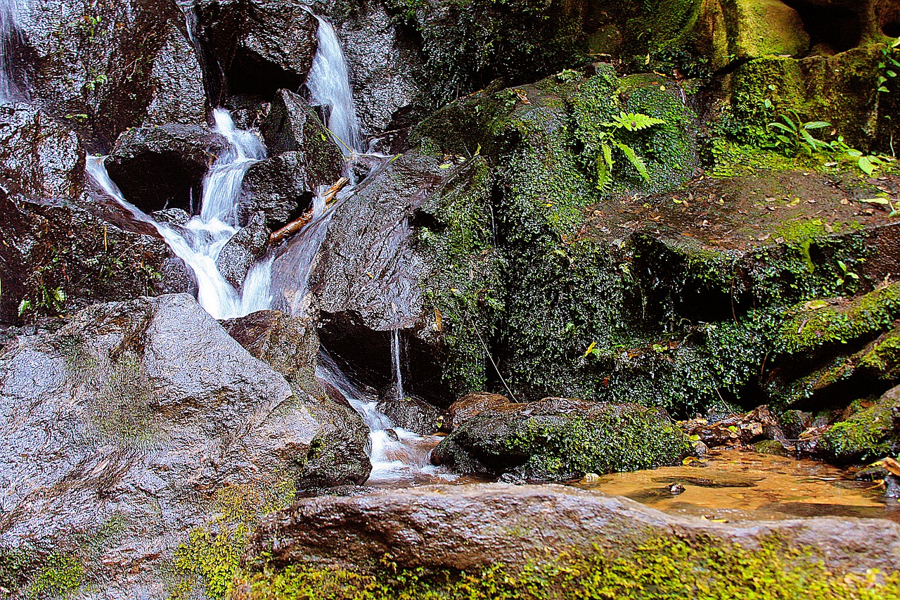 waterfall nature cascade free photo