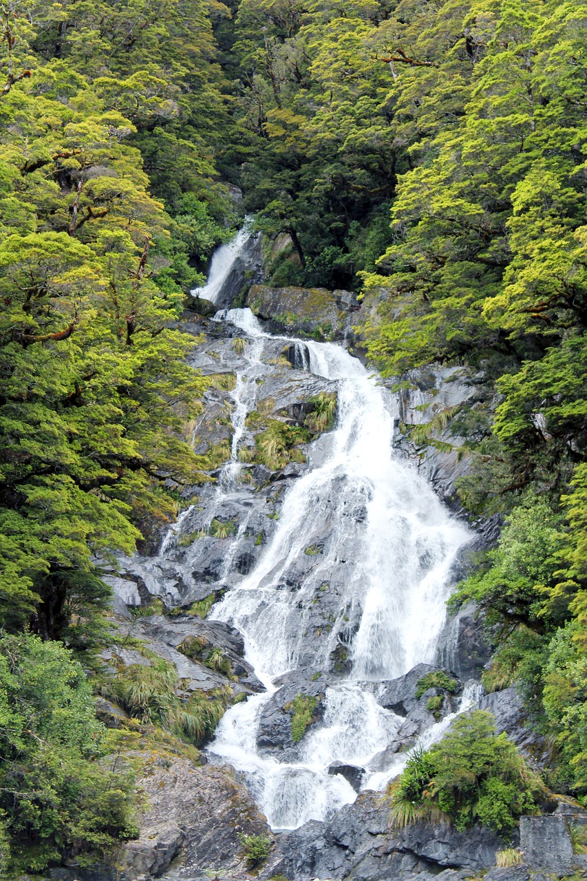 waterfall green natural free photo