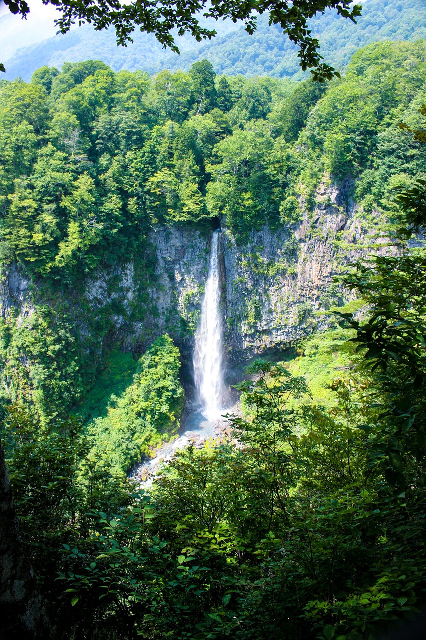 waterfall natural green free photo