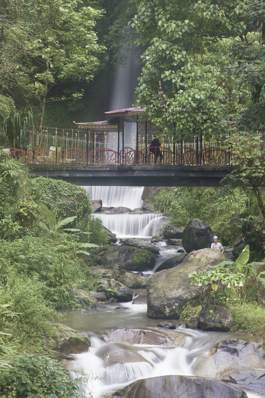 waterfall nature water free photo