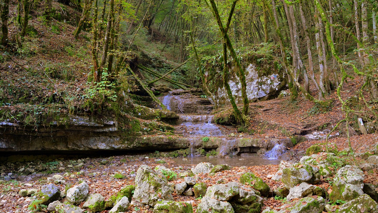 waterfall forest torrent free photo