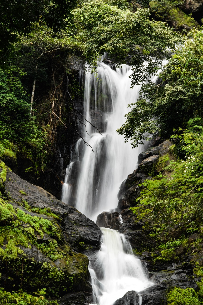 waterfall nature scenic free photo