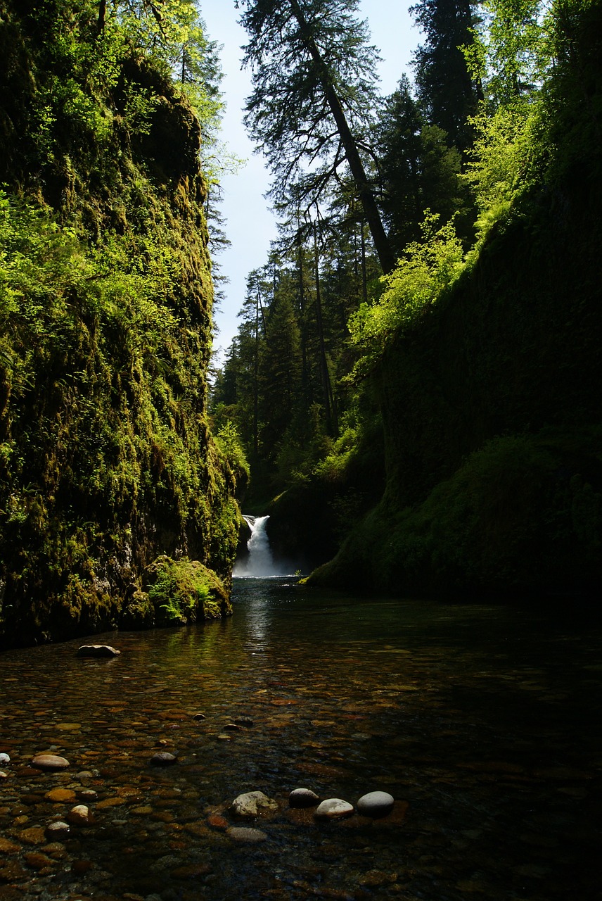 waterfall rivers streams free photo