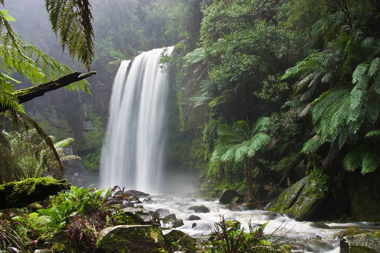 waterfall water nature free photo