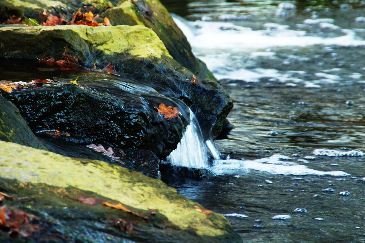 waterfall park water free photo