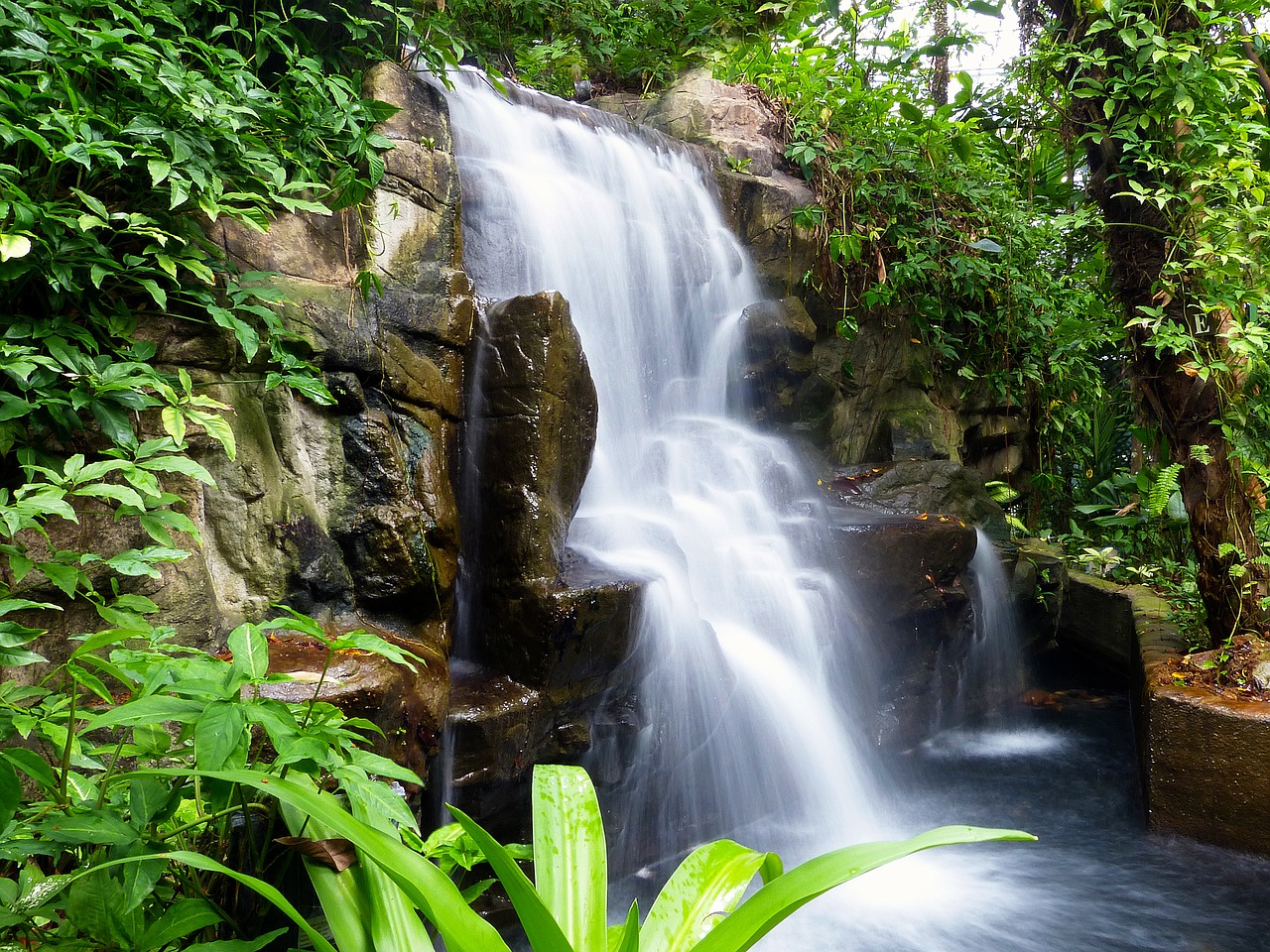 waterfall rock flowing free photo