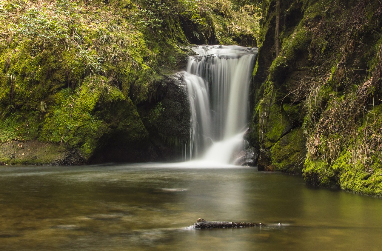 waterfall  waters  river free photo