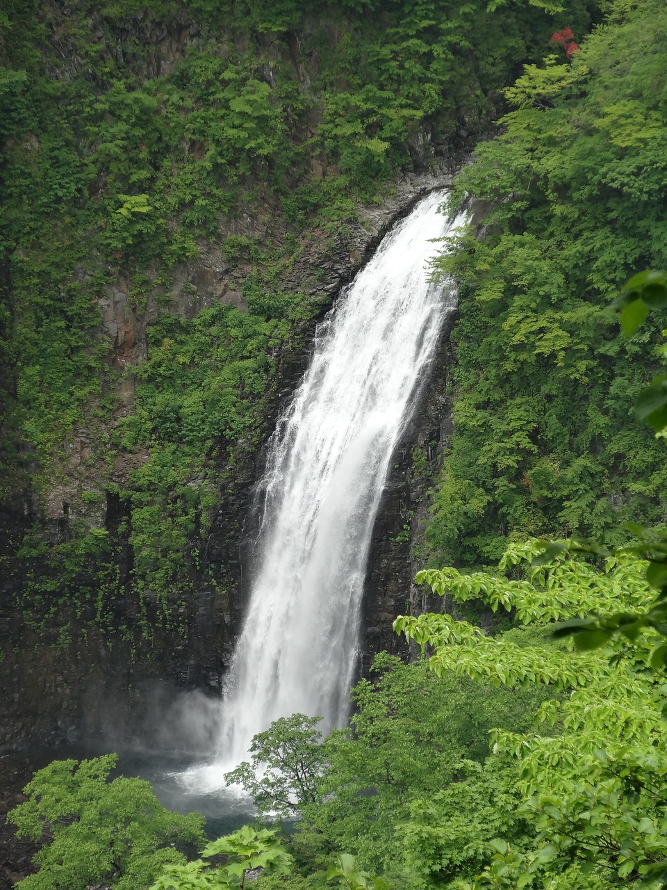 waterfall natural water free photo