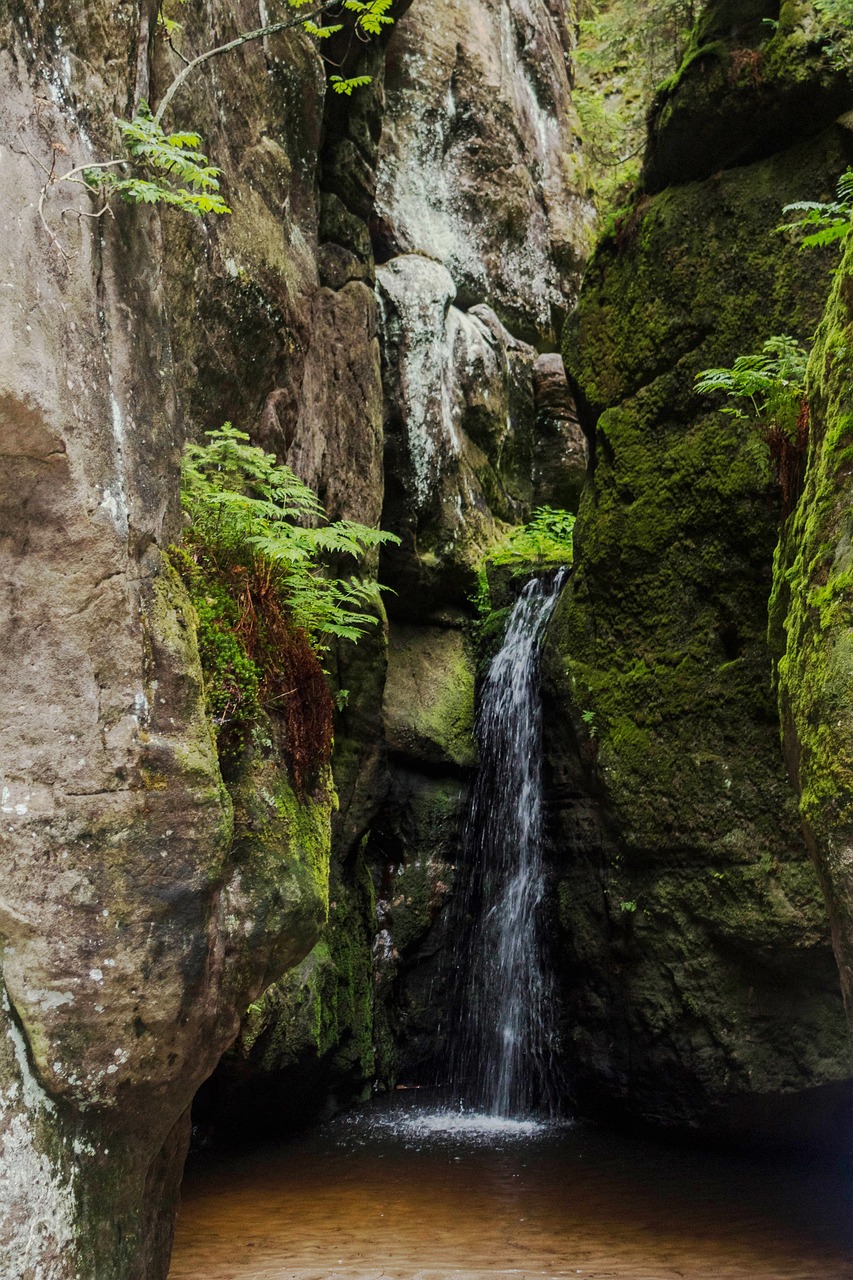 waterfall  nature  river free photo