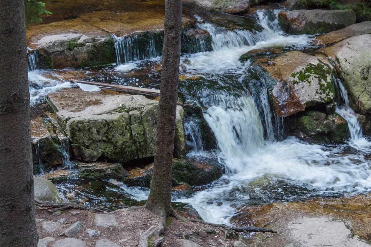 waterfall  river  nature free photo