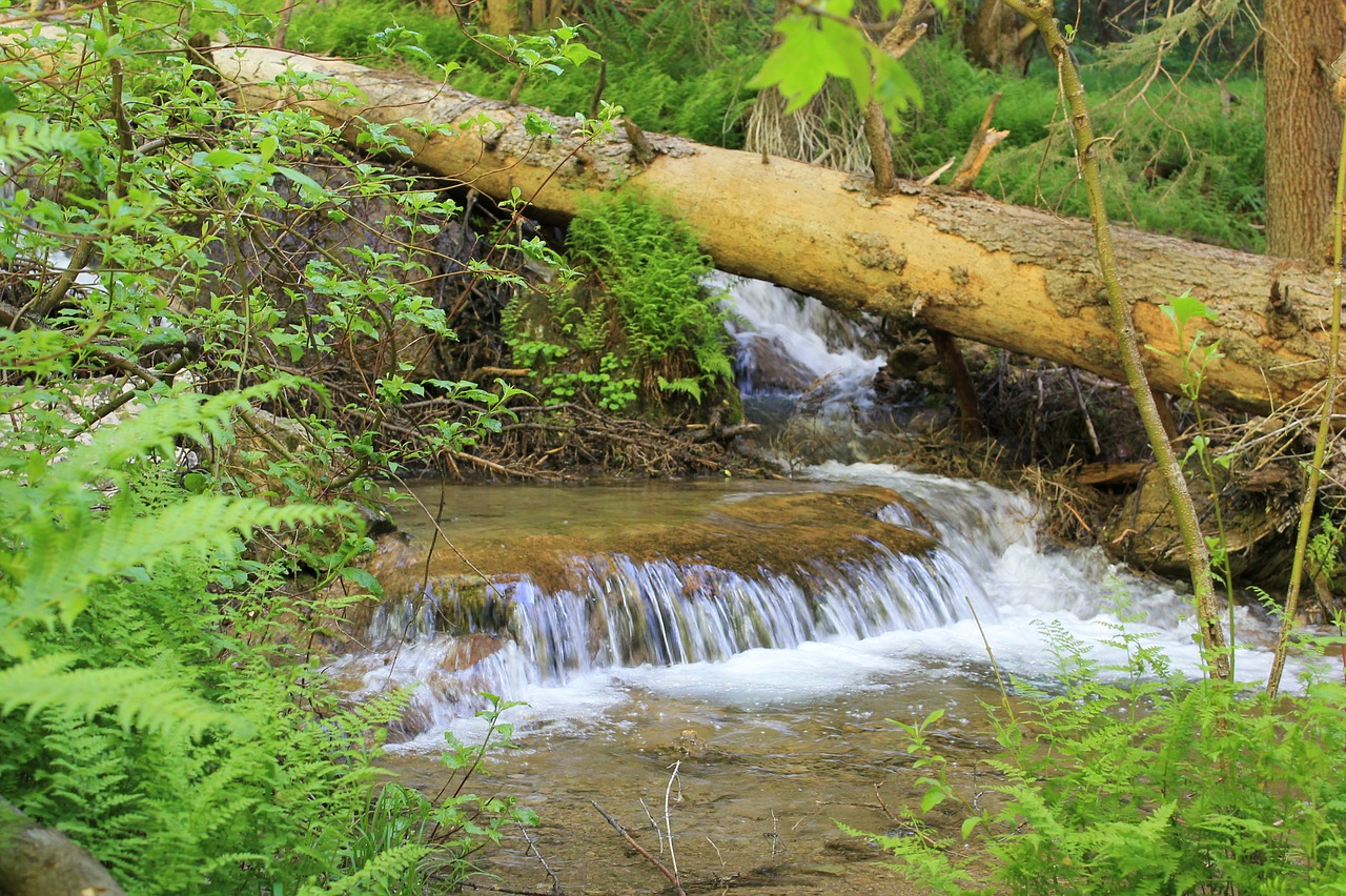 waterfall  stream  cascade free photo