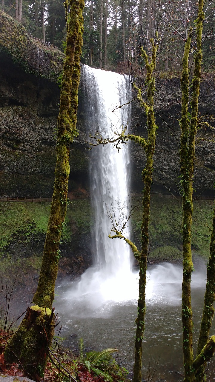 waterfall  oregon free pictures free photo