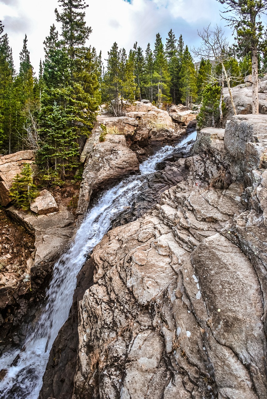 waterfall  trees  nature free photo