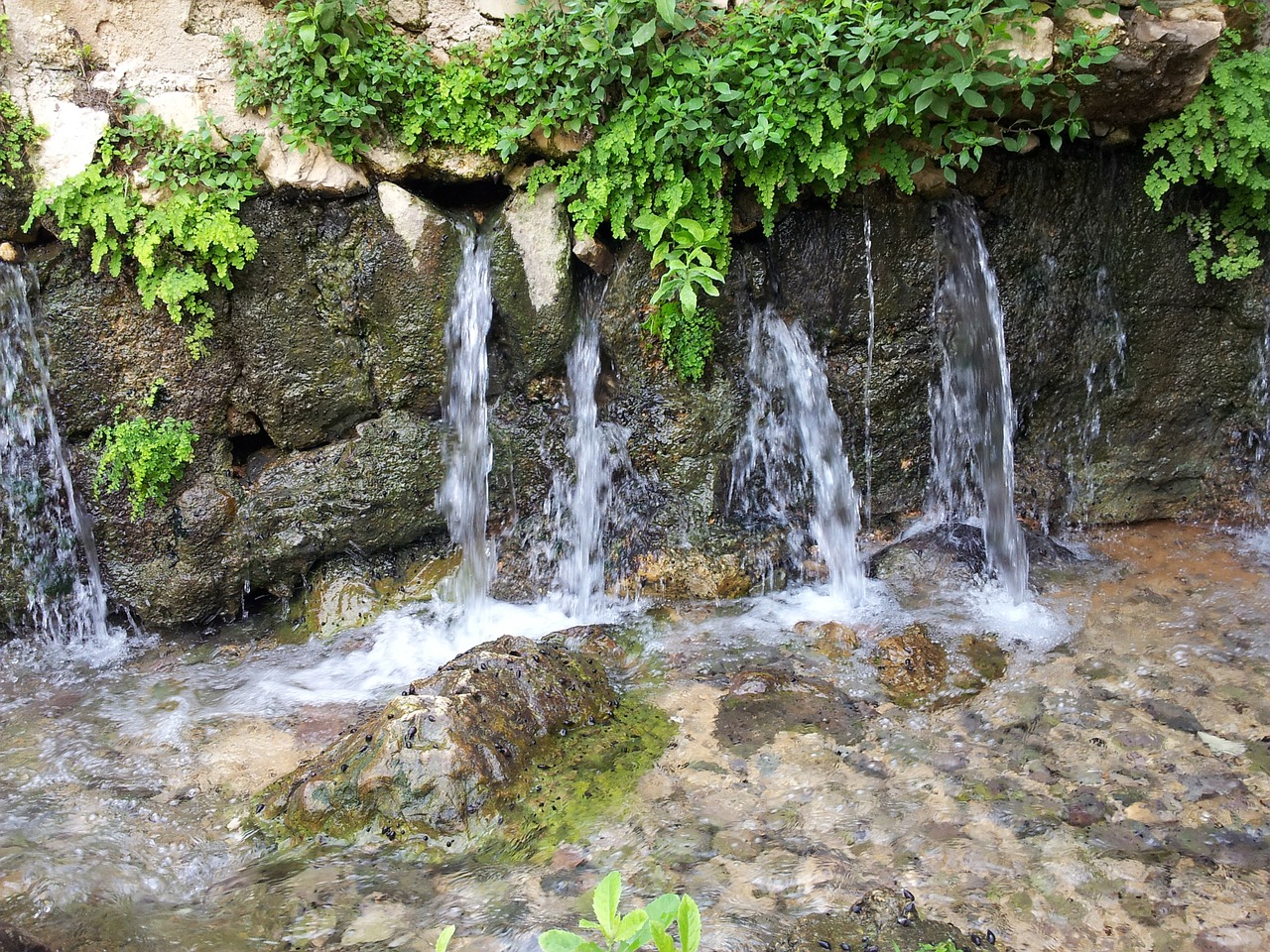 waterfall water fresh free photo